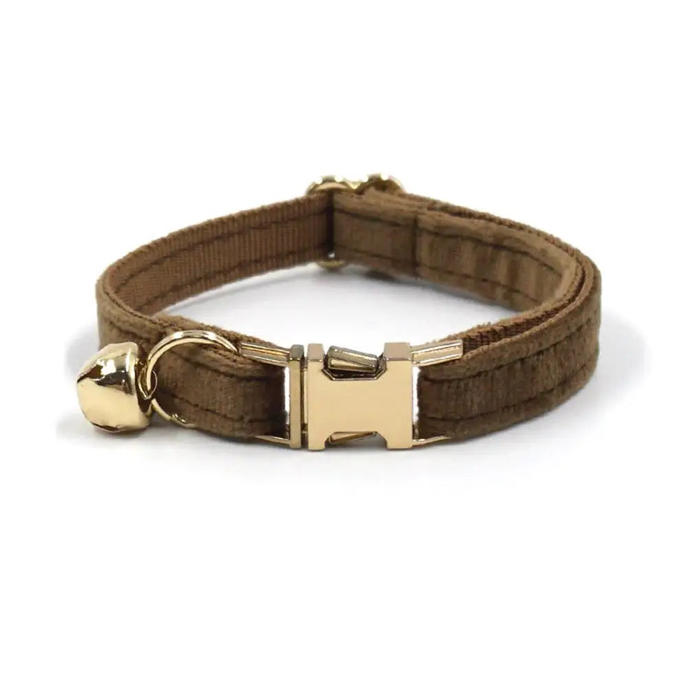 Free Engraving Customized Multicolor Soft - ProPawPet.com