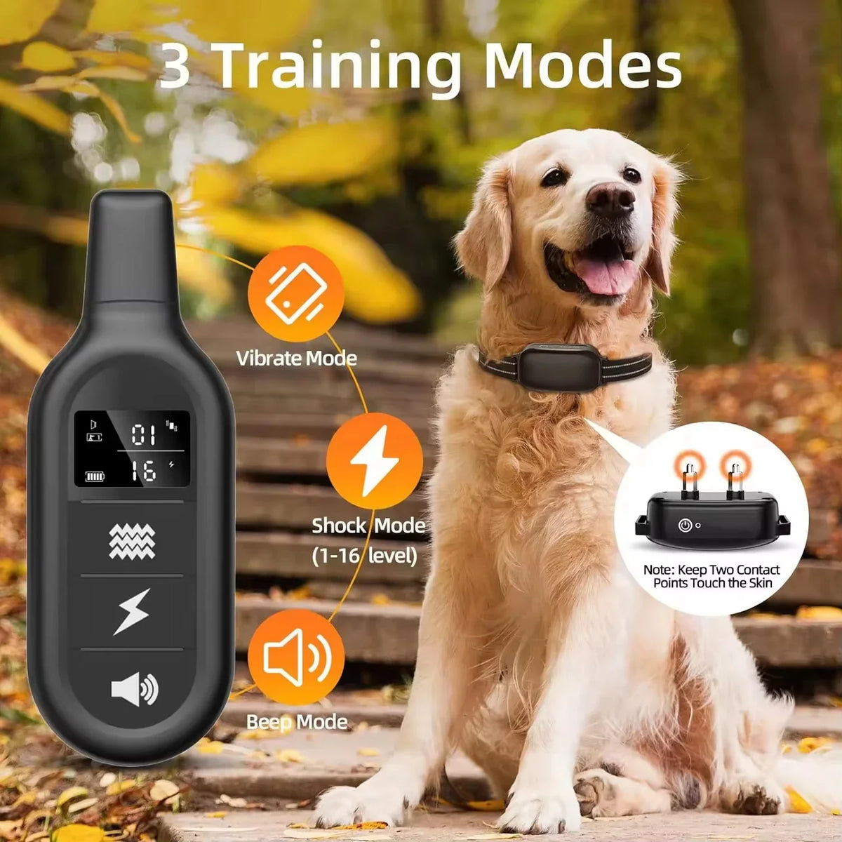 Paipaitek 1000M Dog Training Collar All Size - ProPawPet.com