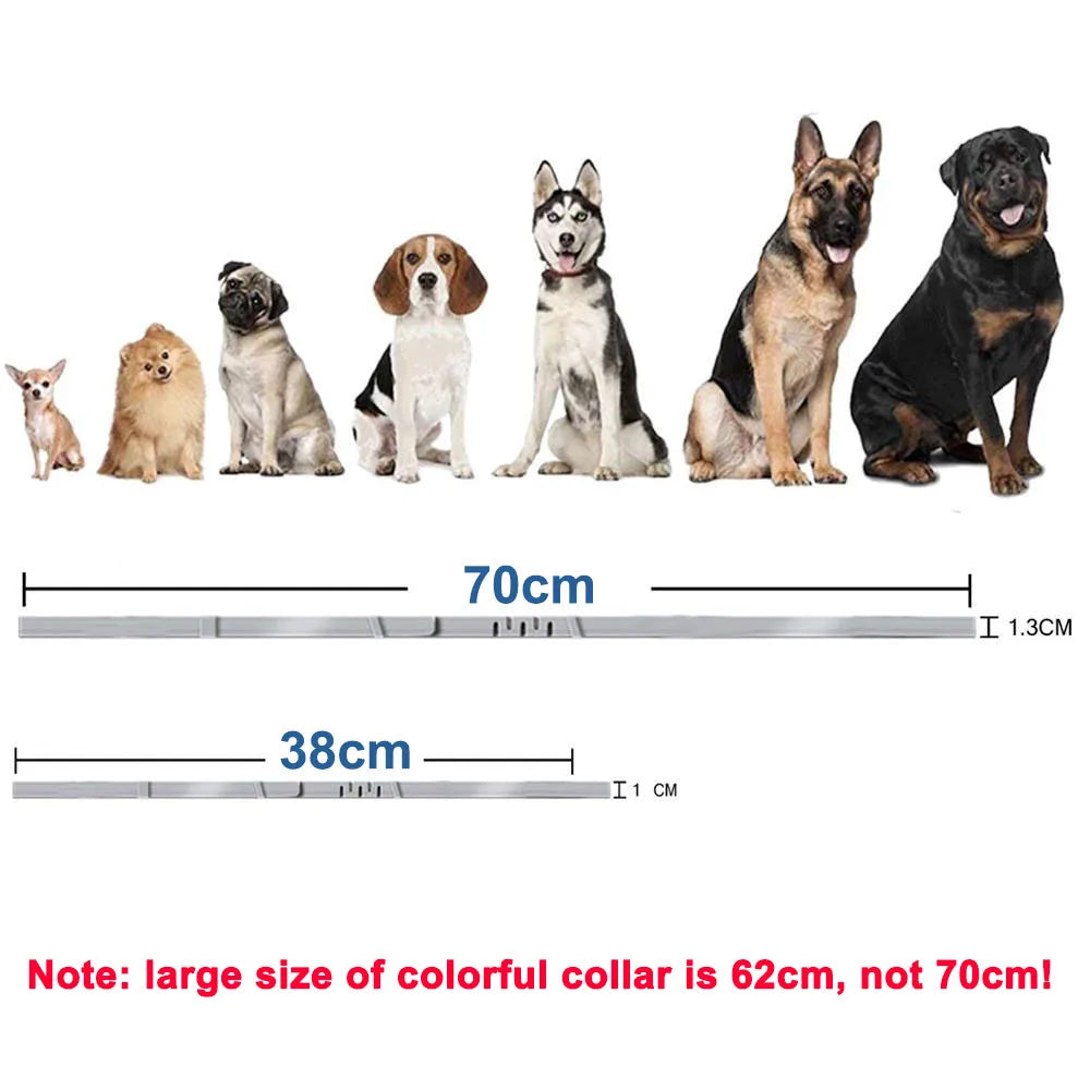 VIP Dog Collar Puppy Cat Plastic Collar for - ProPawPet.com