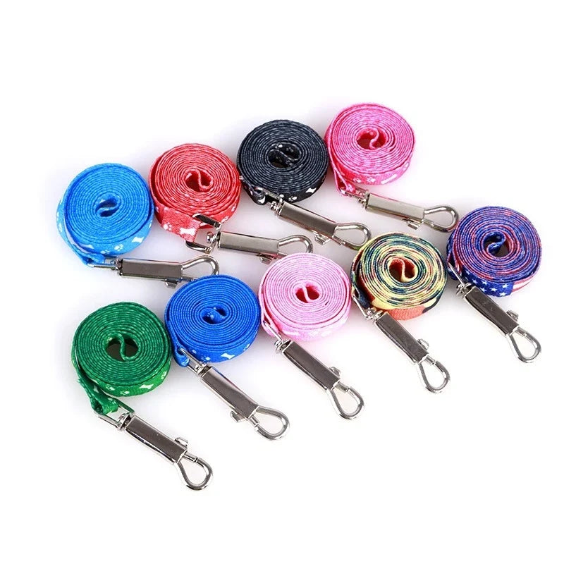 Cheap Small Dog Leash Puppy Leashes Teddy - ProPawPet.com