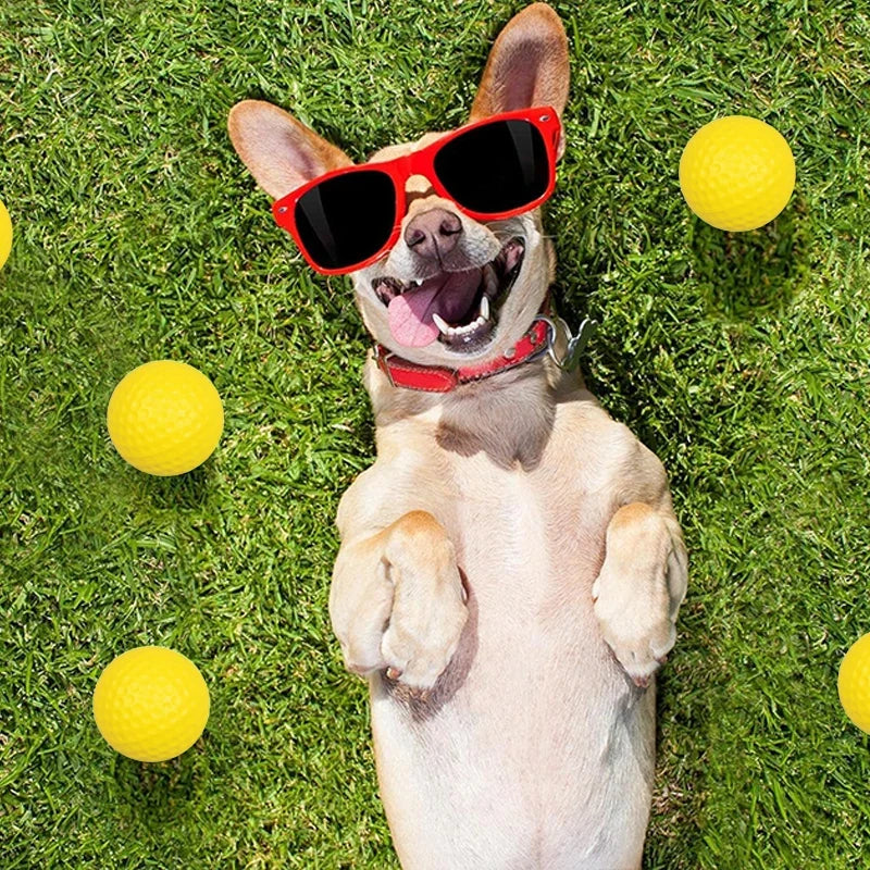 2~10pcs Durable Dog Chewing Squeak Toy Ball - ProPawPet.com
