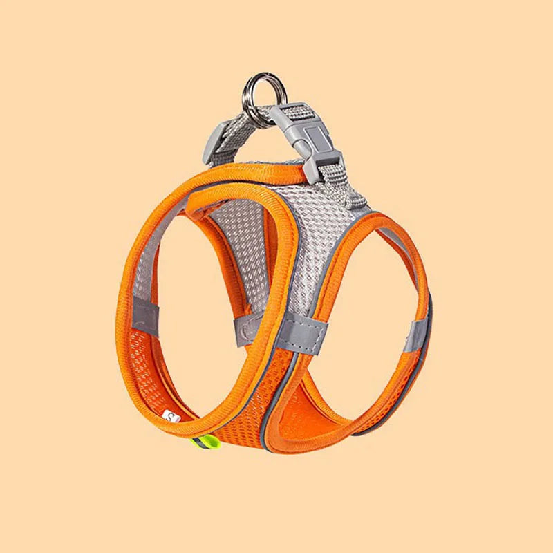 Pet Cat Dog Harness Vest Chest Rope Set - ProPawPet.com