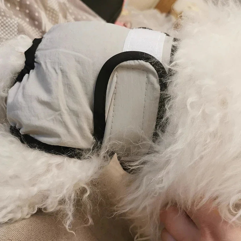 Reusable Sanitary Panties Washable Small Dog - ProPawPet.com