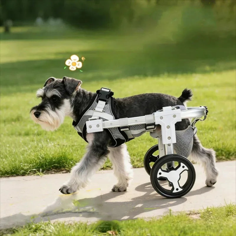 Pet Dog Wheelchair Cart Adjustable Pet - ProPawPet.com