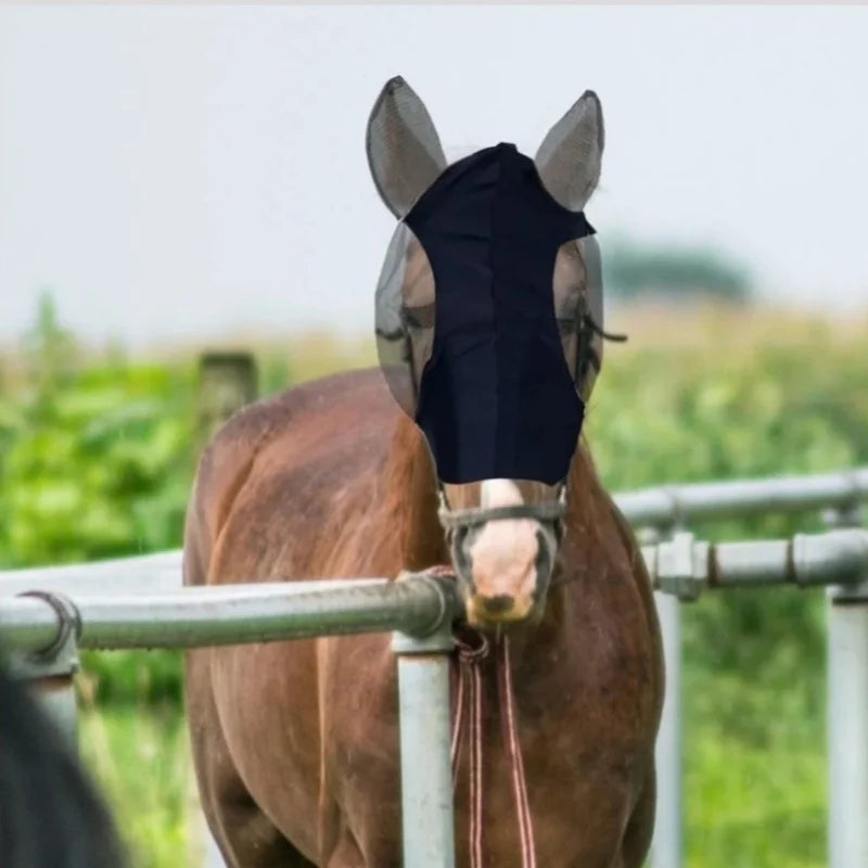Horse face mask, horse face protective mask, - ProPawPet.com