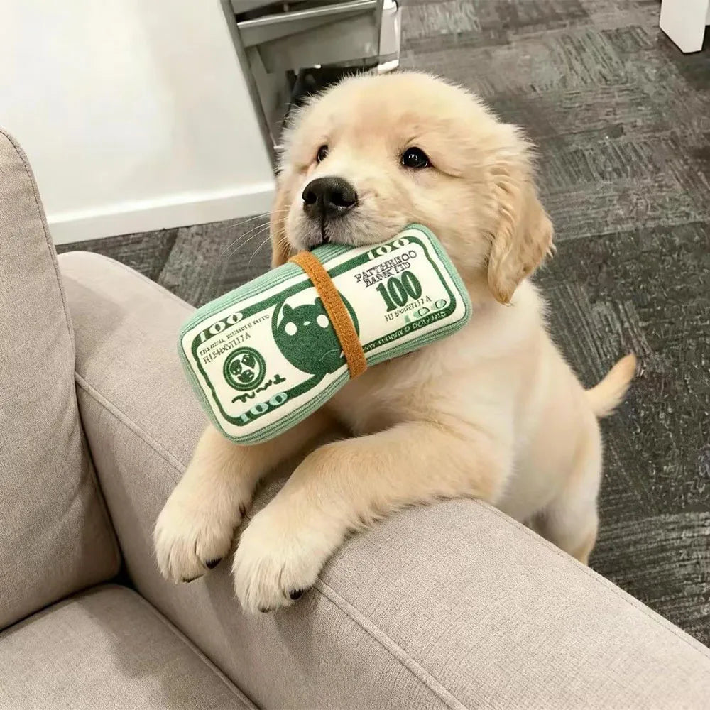1/3pcs Money-shaped Non-biting Durable - ProPawPet.com