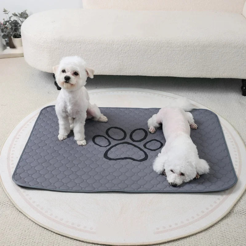 Pet Absorbent Diaper Mat Waterproof and Anti - ProPawPet.com