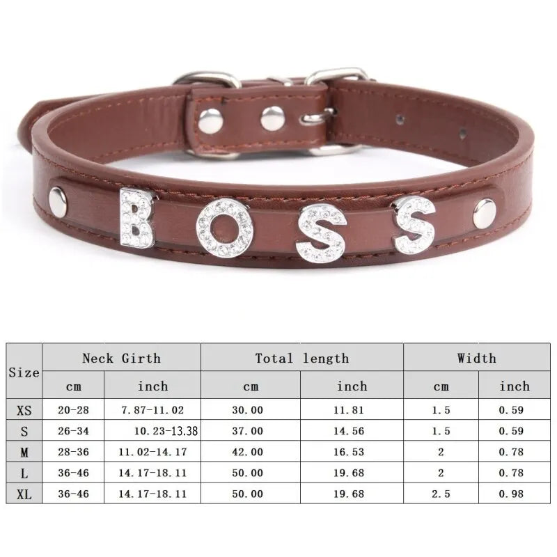 Custom Cat Dog Collar Personalized - ProPawPet.com