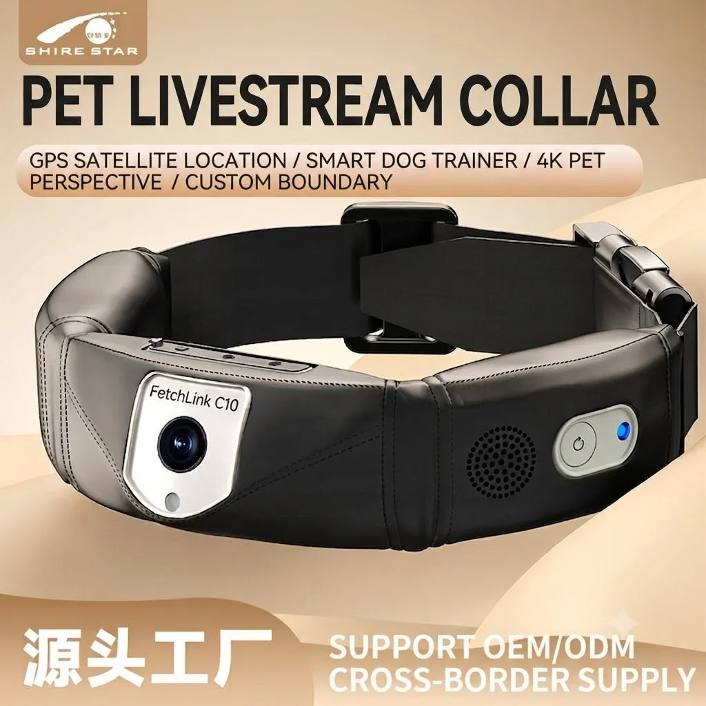 C10 Smart Dog GPS Tracker Collar – Dog Supplies