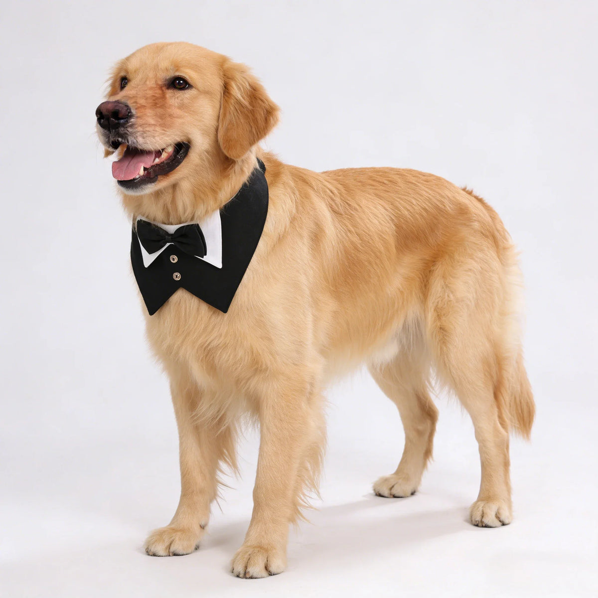 Sucado Dog Tuxedo Suit Bandana, Wedding - ProPawPet.com