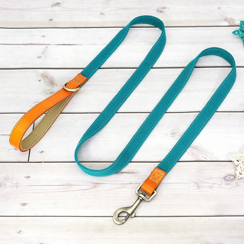 Nylon Custom Dog Puppy Collar Leash Set - ProPawPet.com