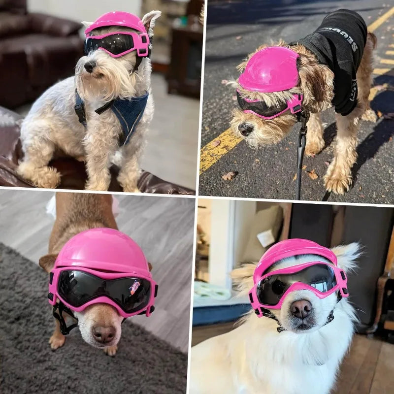 LETVIA S/M Dog Helmet with Dog Goggles - ProPawPet.com