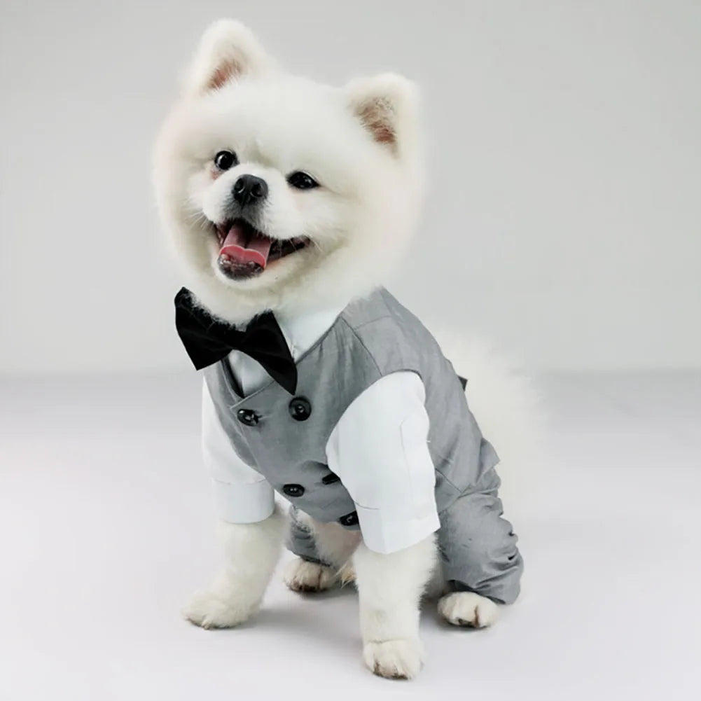 Dog Tuxedo - ProPawPet.com