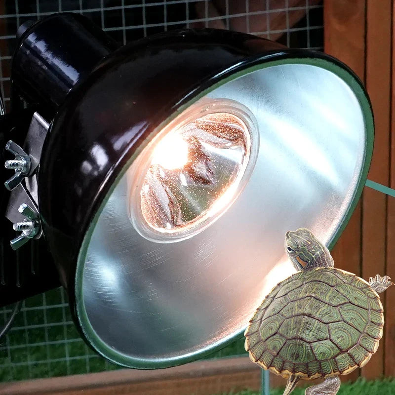25/50W UVA+UVB 3.0 Reptile Lamp Pet - ProPawPet.com
