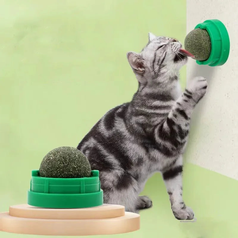KEMORELA Catnip Cat Wall Stick-on Ball Toy - ProPawPet.com