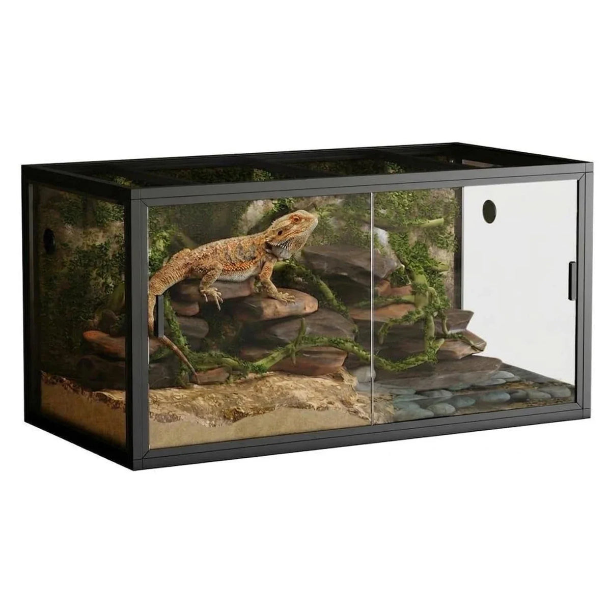 120 Gallon Reptile Terrarium, 4x2x2 Ft Front Opening Glass – 2 Colors