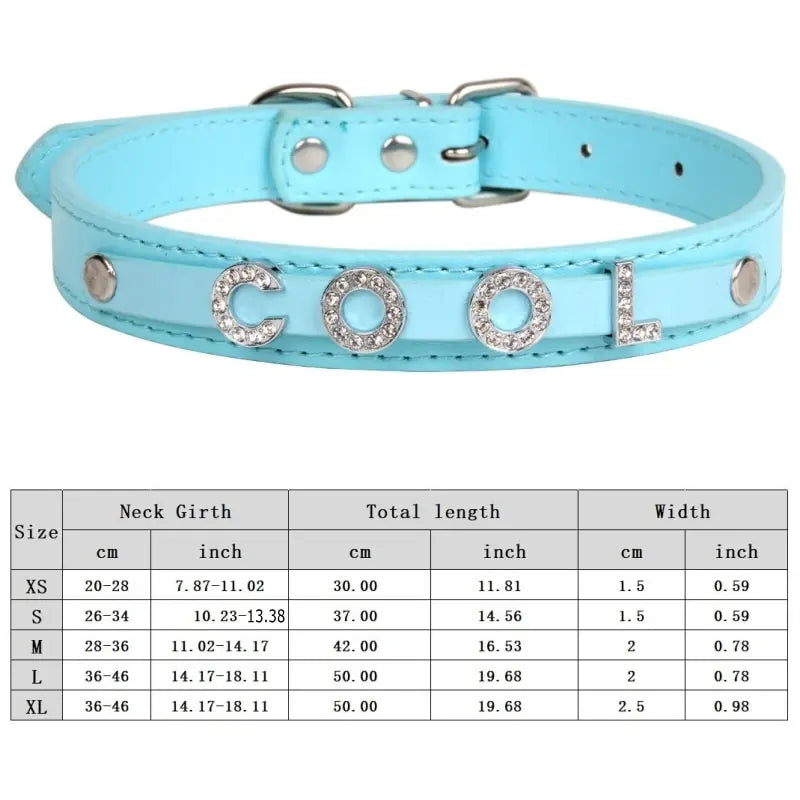 Custom Cat Dog Collar Personalized - ProPawPet.com