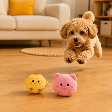 2/3pcs Pet Cat and Small Dogs Interactive - ProPawPet.com