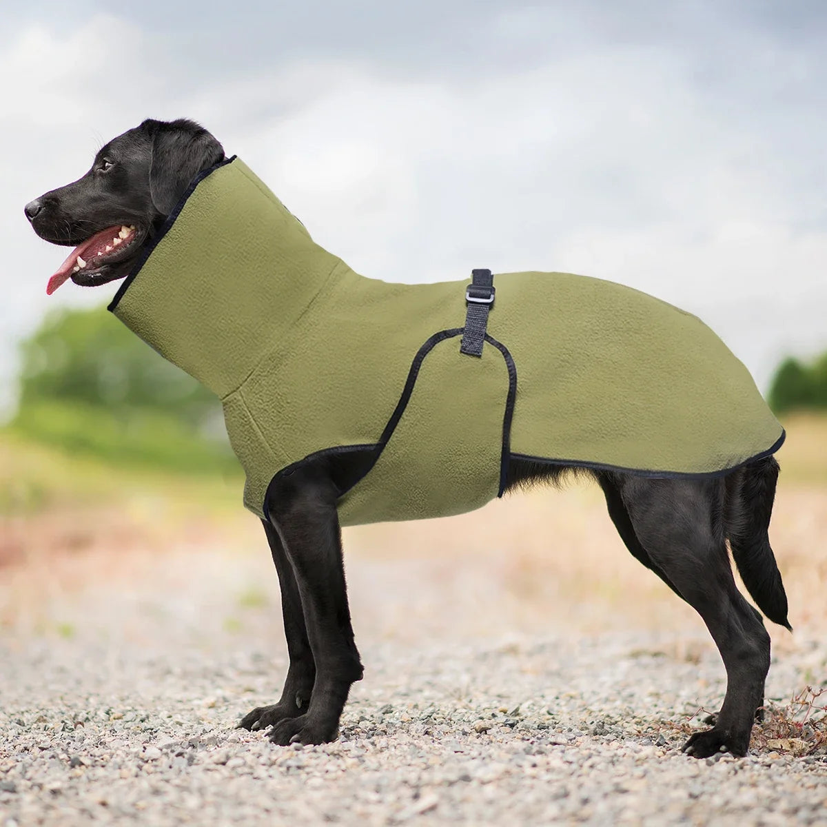 High Collar Warm Dog Coat with Adjustable - ProPawPet.com