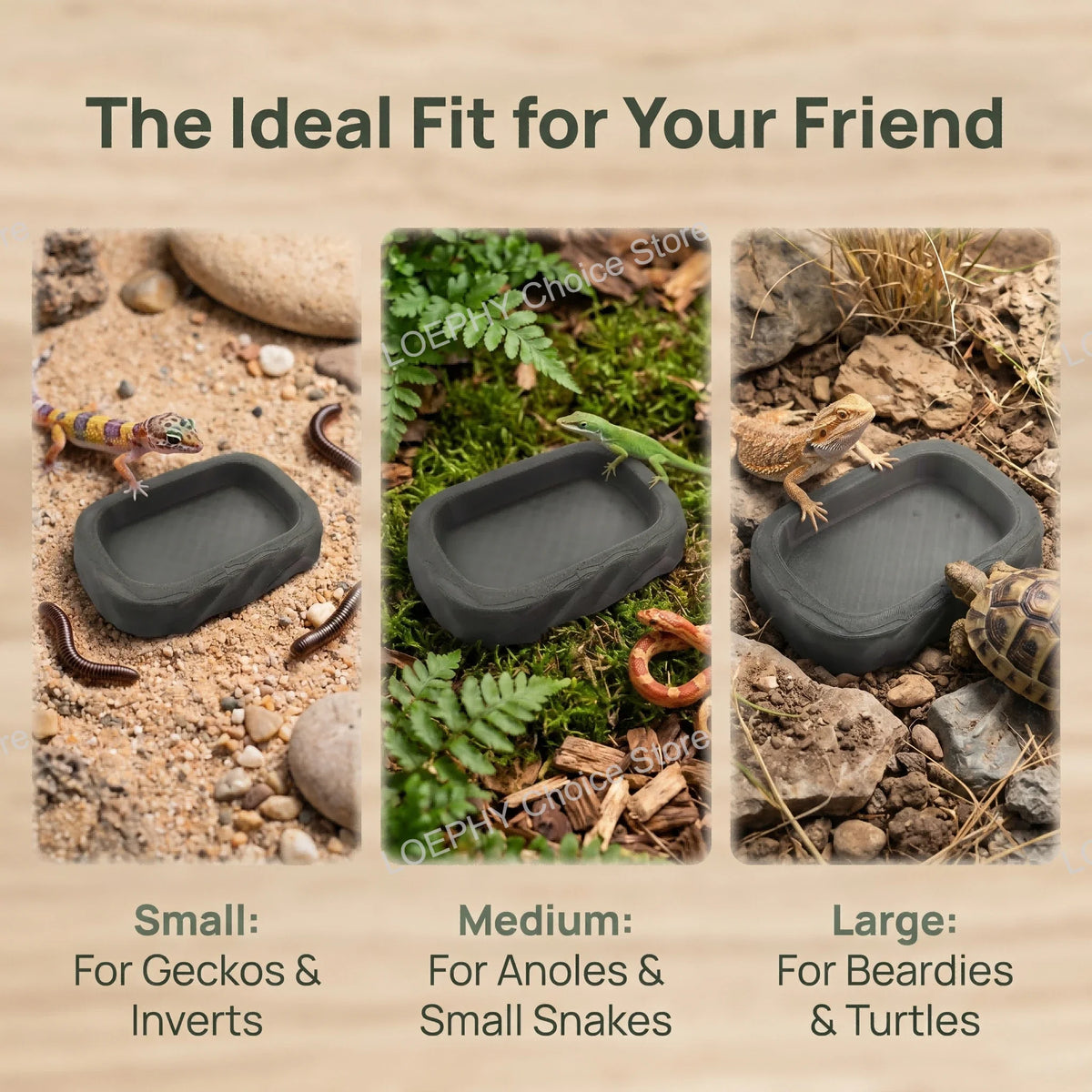 Stone Style Reptile Water Dish Reptile 3D - ProPawPet.com