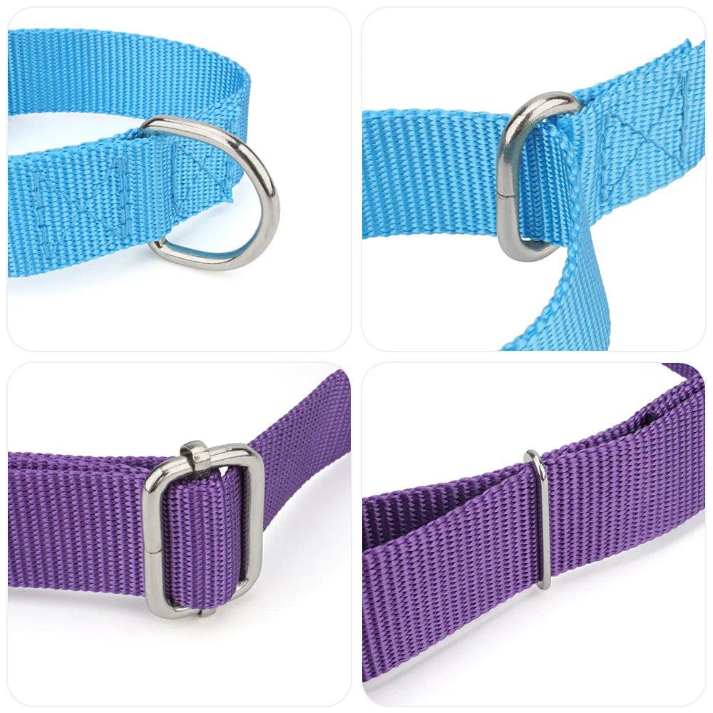 Martingale Collar for Dogs,Dog Collar with - ProPawPet.com