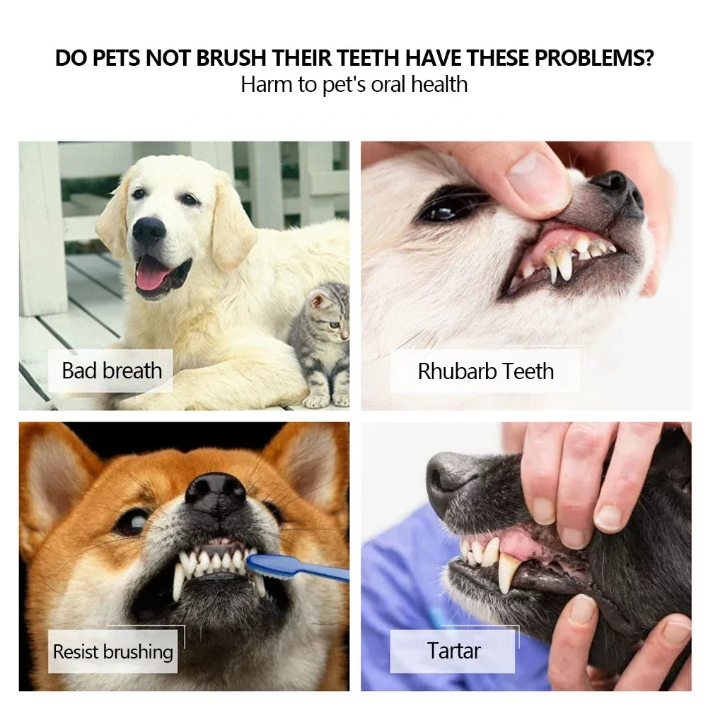 Three Sided Pet Toothbrush Three-Head - ProPawPet.com