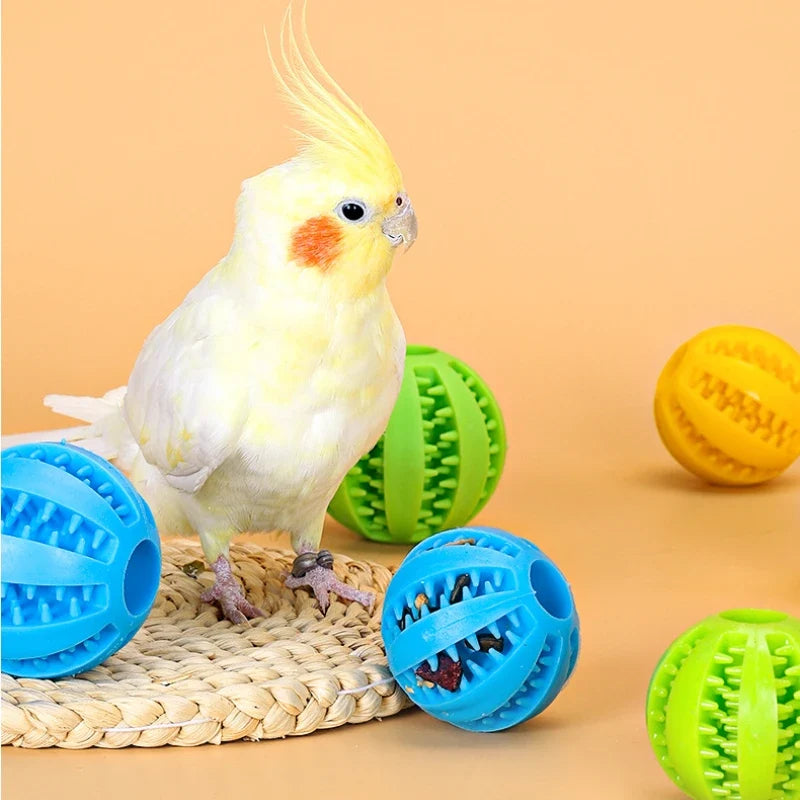 2Pack Bird Foraging Toys Parrot Chew Treat - ProPawPet.com