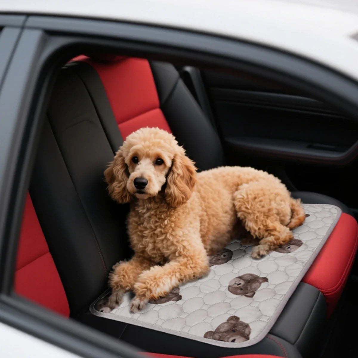 1pc Mesh Fabric Absorbent Cotton Pet Pee Pad - ProPawPet.com