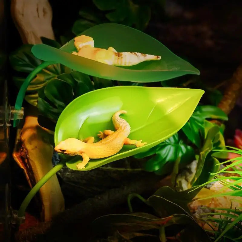 Frog Habitat Suction Cup Reptile Basking - ProPawPet.com