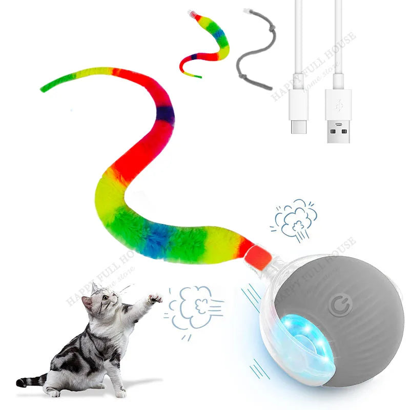 2 in 1 Cat Toy Interactive Ball – Cat Supplies