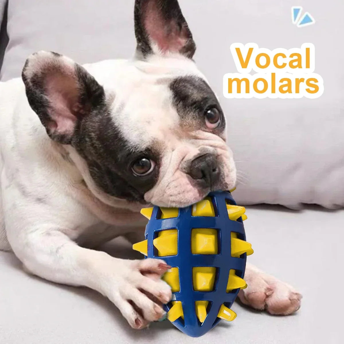 1/2Pcs Squeaky Dog Chew Toys Interactive - ProPawPet.com