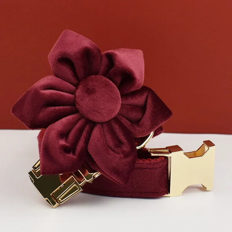 Red Wine Velvet Dog Collar And Leash Set For - ProPawPet.com