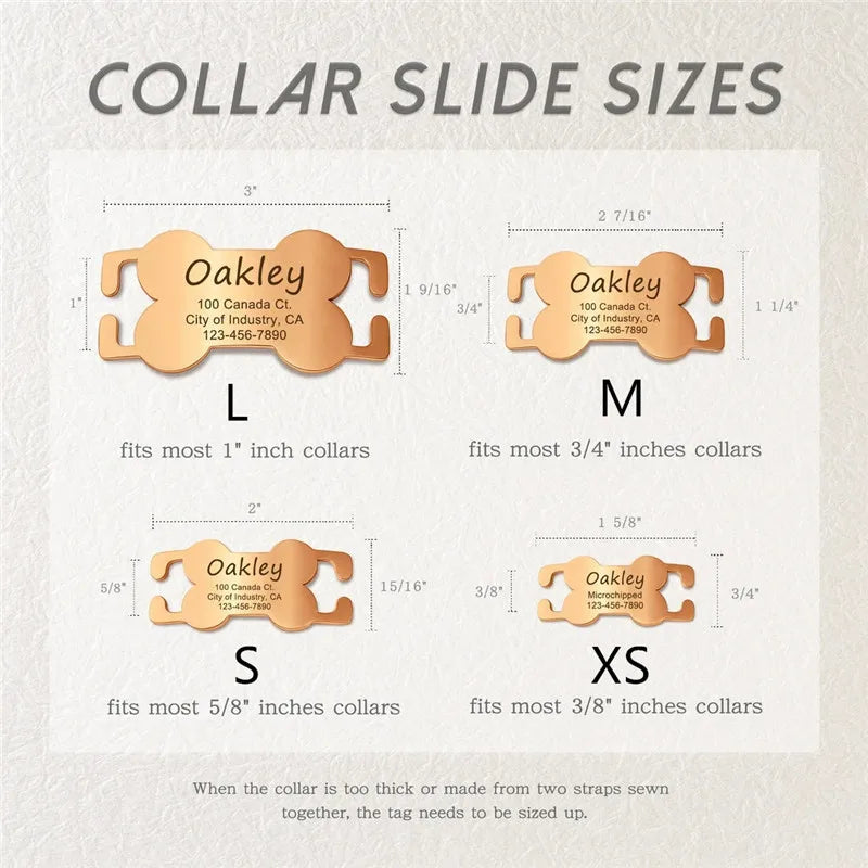 Free Customized Curved Bone Stainless Steel - ProPawPet.com