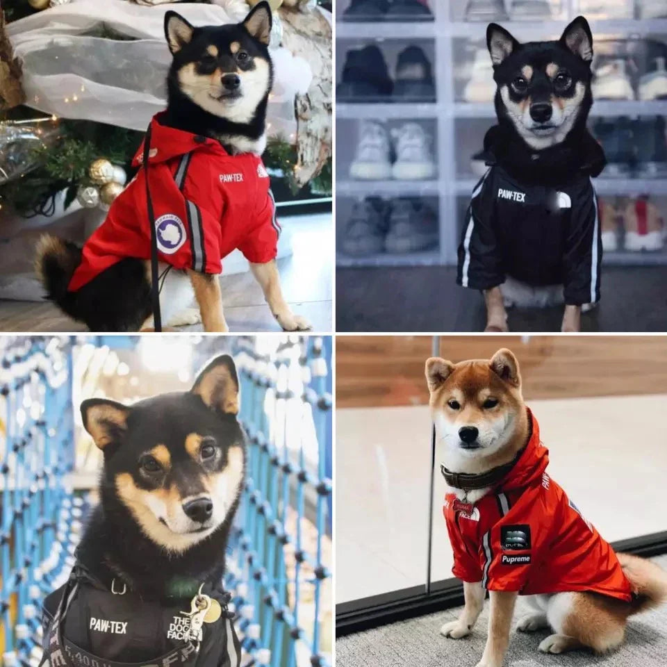 Pet Dog Waterproof Coat Dog Raincoat - ProPawPet.com