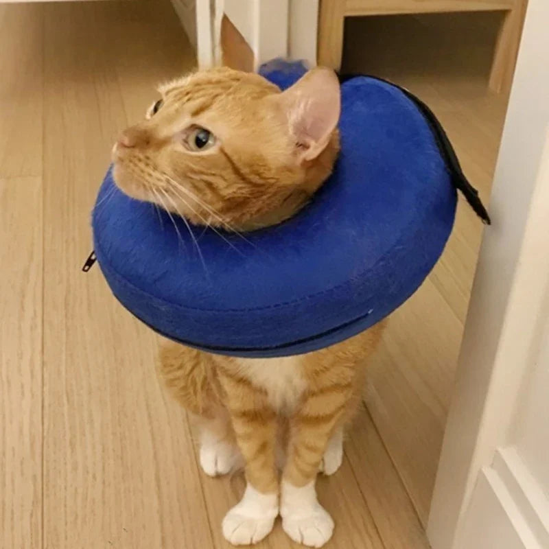 Soft Inflatable Pet Warm Cone Collar - ProPawPet.com