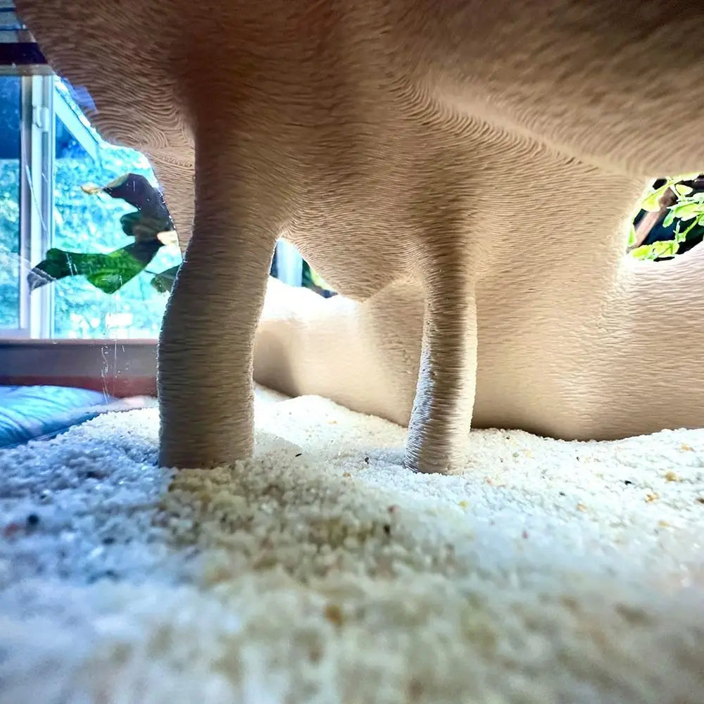 Durable 3D Printed Cave Textured Root Style - ProPawPet.com