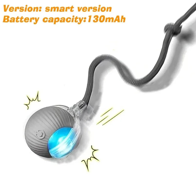 Pet Smart Interactive Ball, Rechargeable