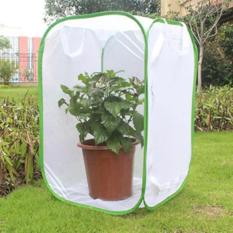 Collapsible Insect Cage Mesh Habitat Bird - ProPawPet.com