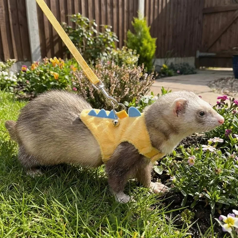 Adjustable Ferret Vest Harness with Bell - ProPawPet.com
