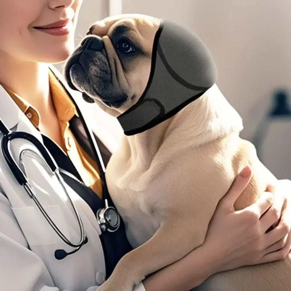 Noise Reduction Dog Ear Covers Hearing - ProPawPet.com