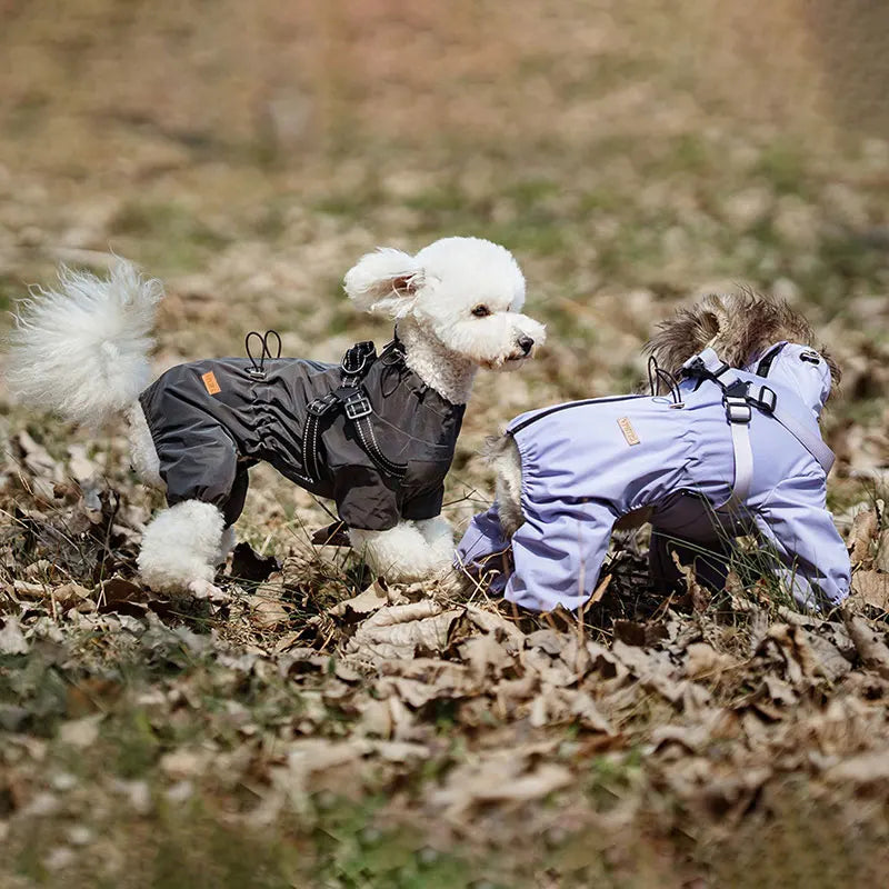 Dog Raincoat With Harness Waterproof Jacket - ProPawPet.com