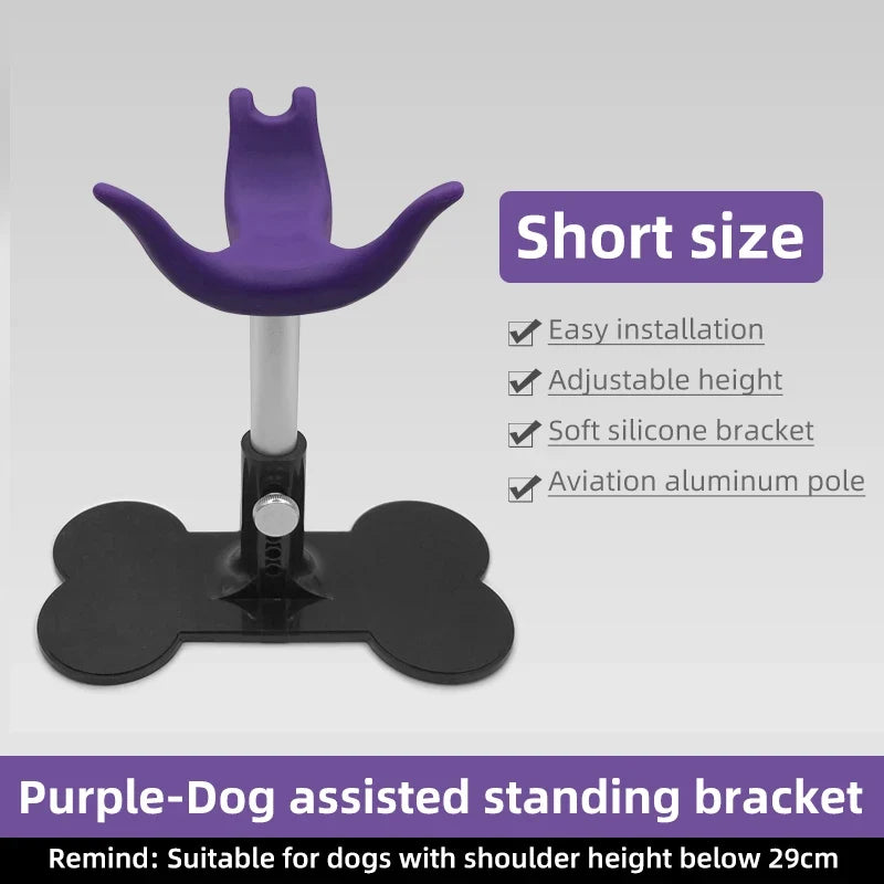 Dog Grooming Assisted Standing Bracket - ProPawPet.com