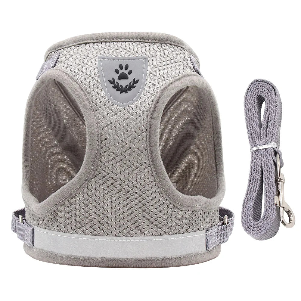 Adjustable Pet Dog Cat Harness and Leash Set - ProPawPet.com