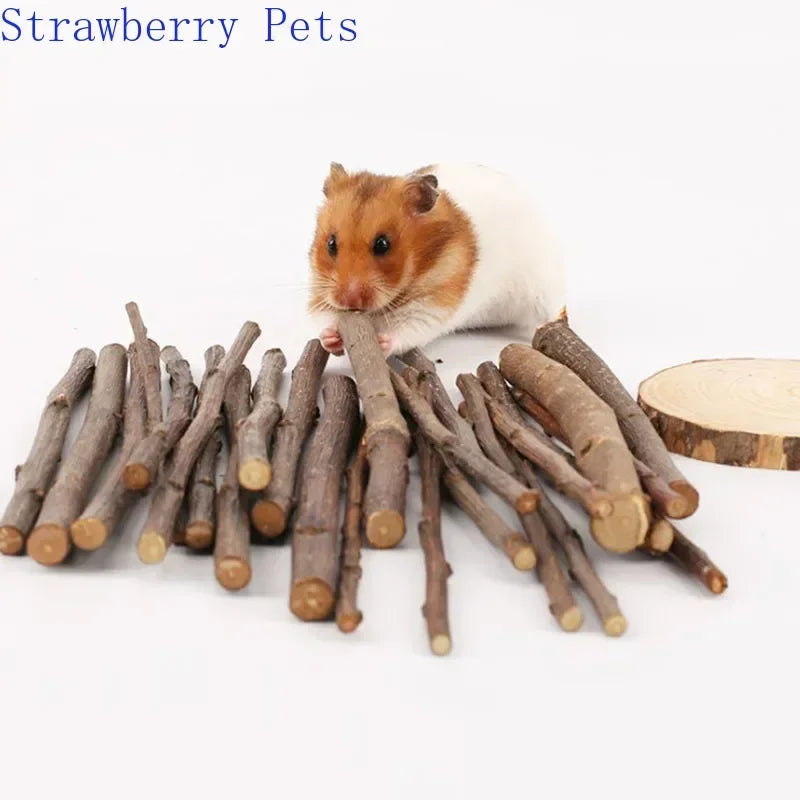 5pcs 10pcs 40pcs Chew Stick Apple Tree - ProPawPet.com