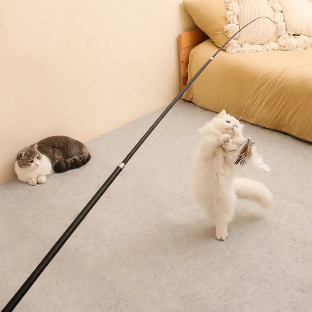 1.8m Extra Long Telescopic Cat Teaser Stick - ProPawPet.com
