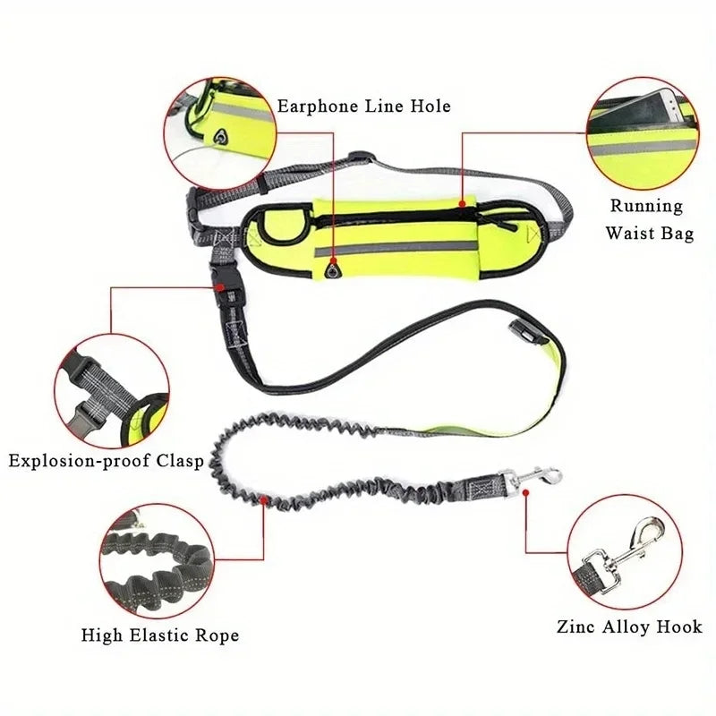 Personalized Dog Walking Collar Free Hands - ProPawPet.com