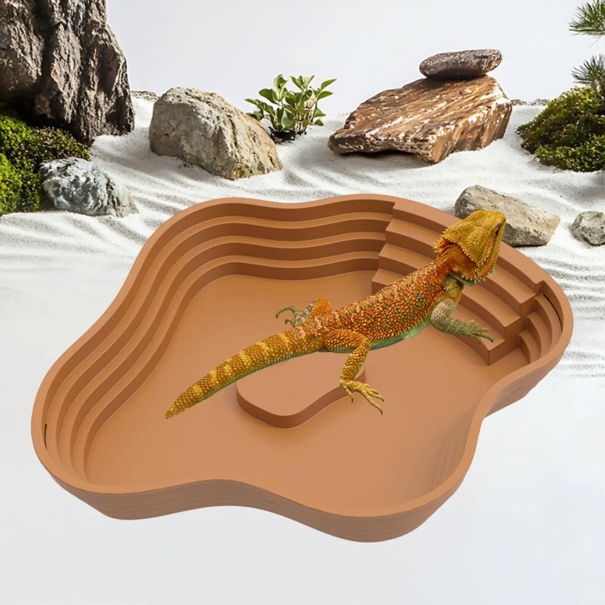 Reptile Bathing Pool with Ramp – 6 Colors