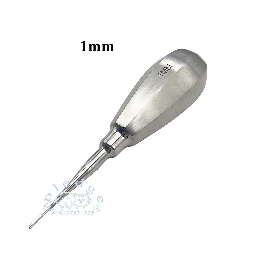 1PCS Lab Experiment Rodent Rat Rabbit Totoro - ProPawPet.com