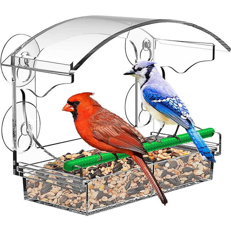 Acrylic Window Bird Feeder Clear Bird House - ProPawPet.com