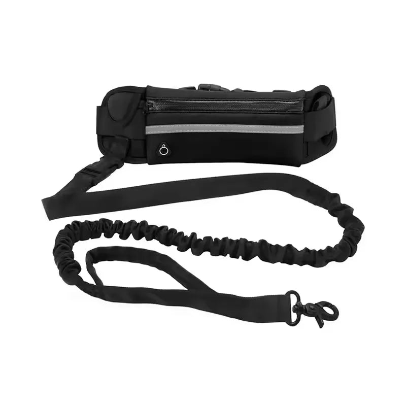 Reflective High Visibility Hands-free Dog Leash – 3 Colors